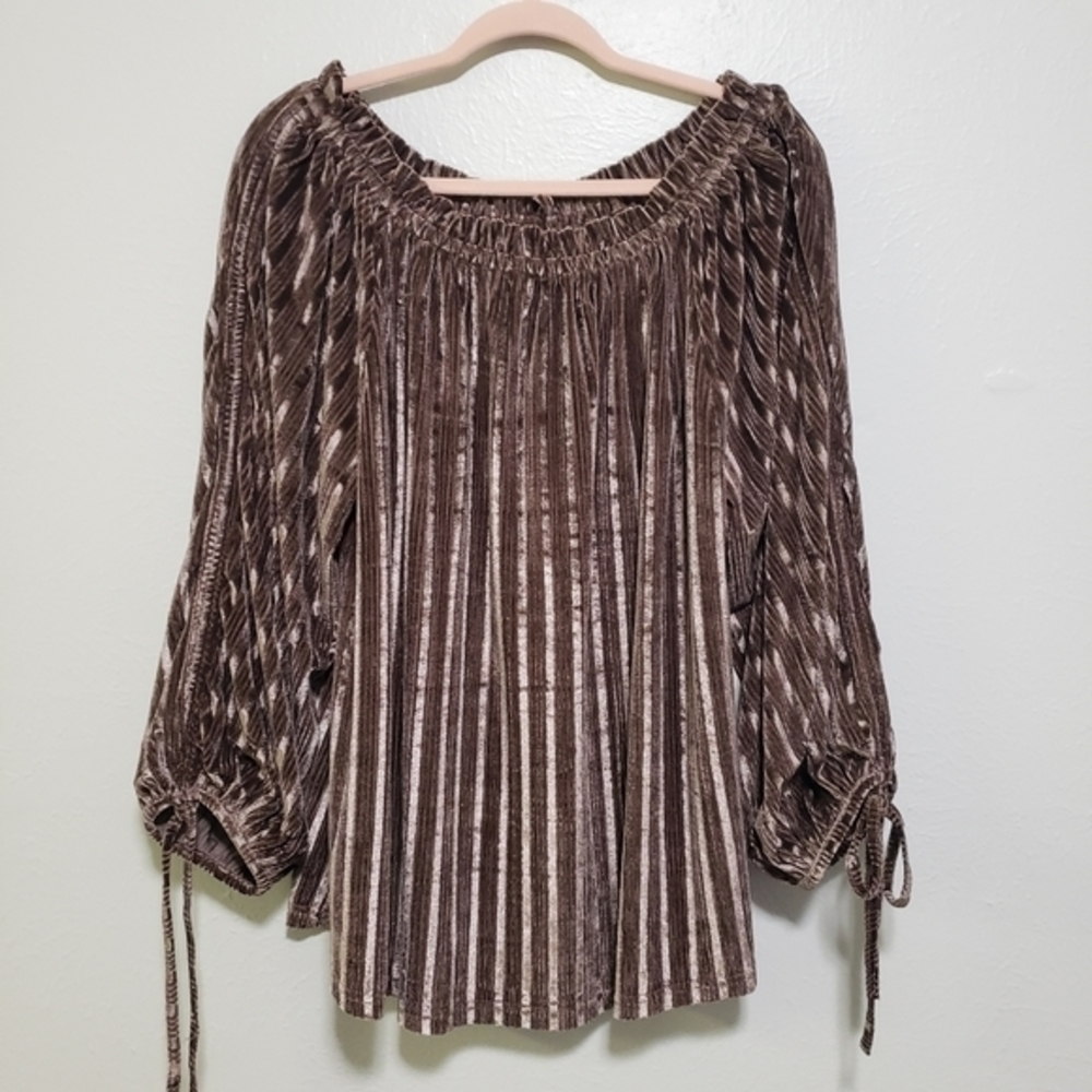 Anthropologie Ease Brown  Velvet Off Shoulder Top